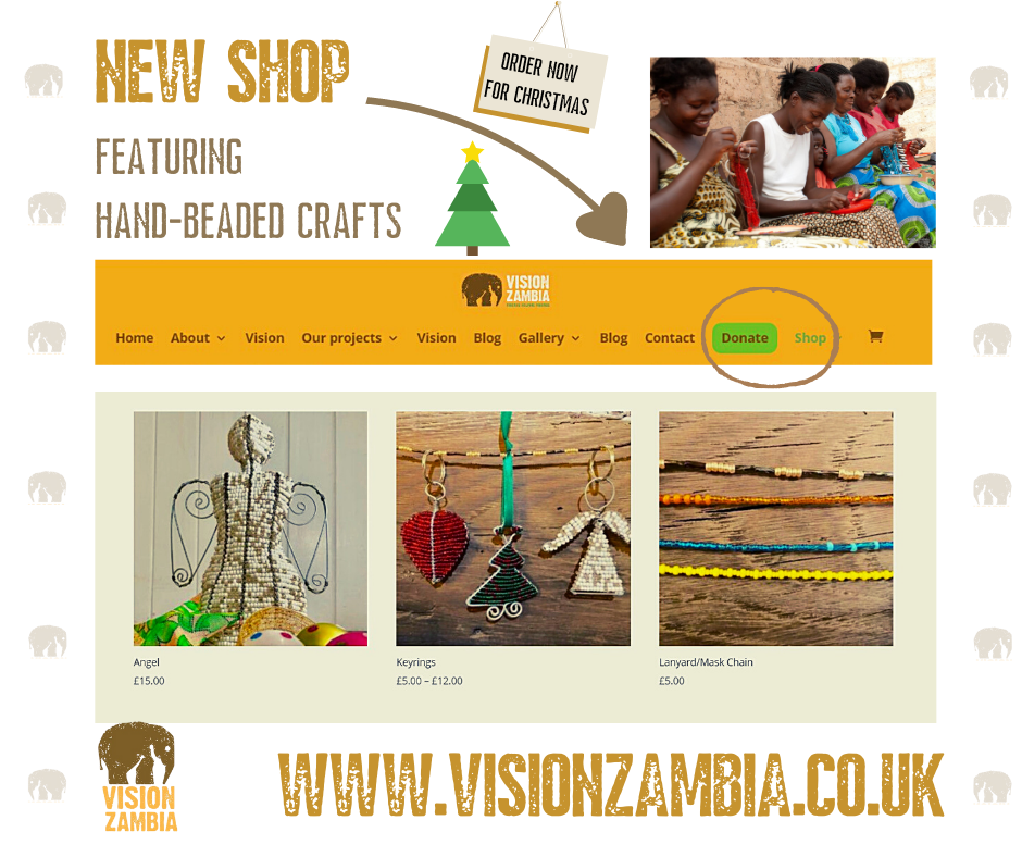 VisionZambia Shop